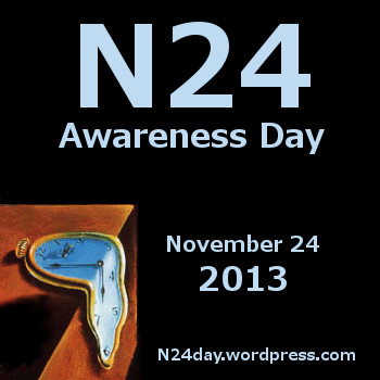 N24 Awareness Day 2013 icon